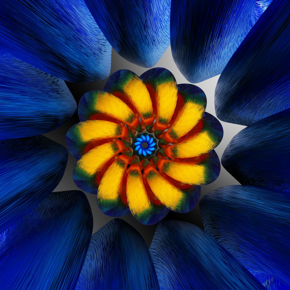 a blue and yellow flower with a white center