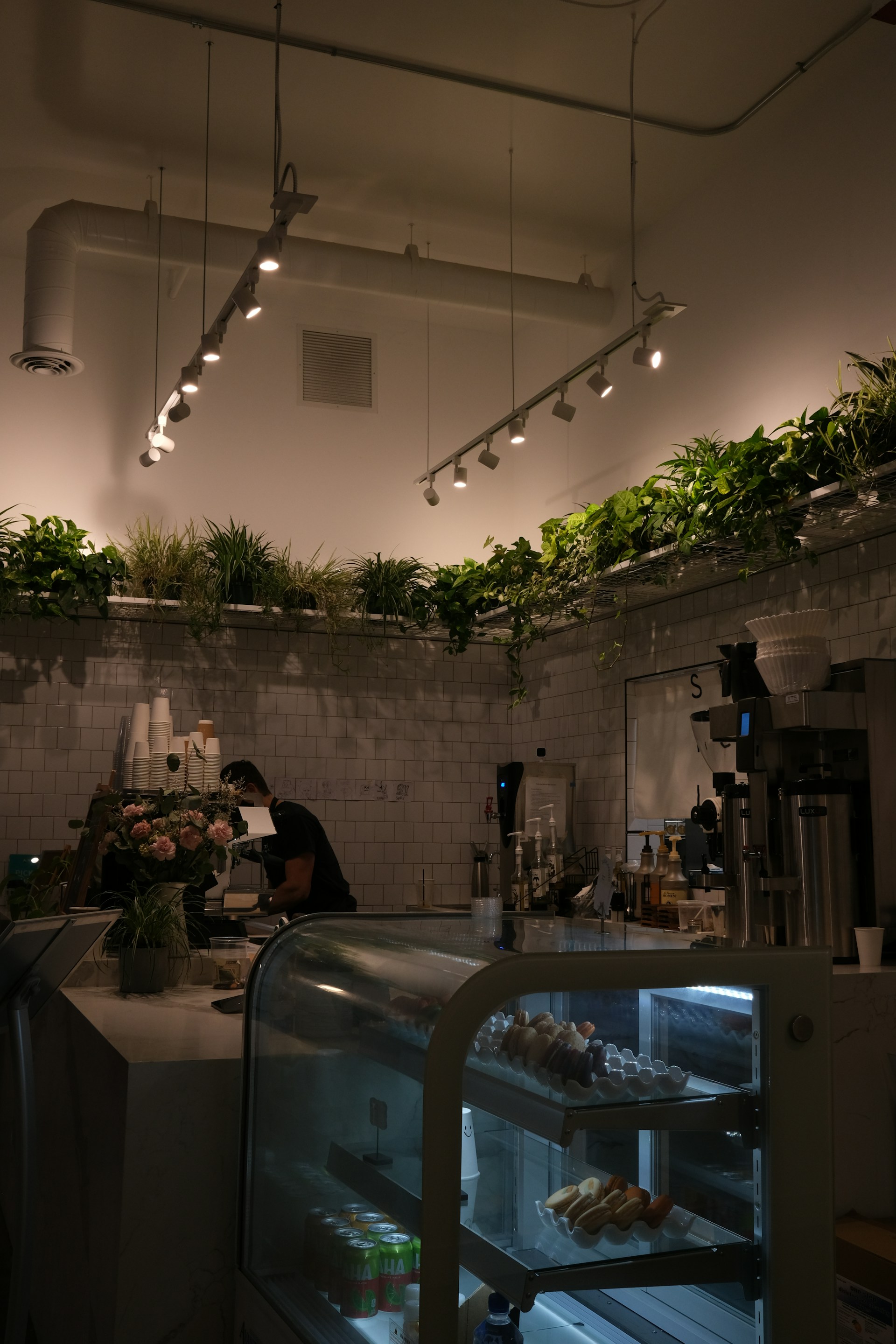 A cozy cafe interior featuring a display case with pastries and drinks, a barista working behind the counter, and abundant greenery along the top perimeter. The space is softly lit with modern ceiling lights, adding to the warm atmosphere.