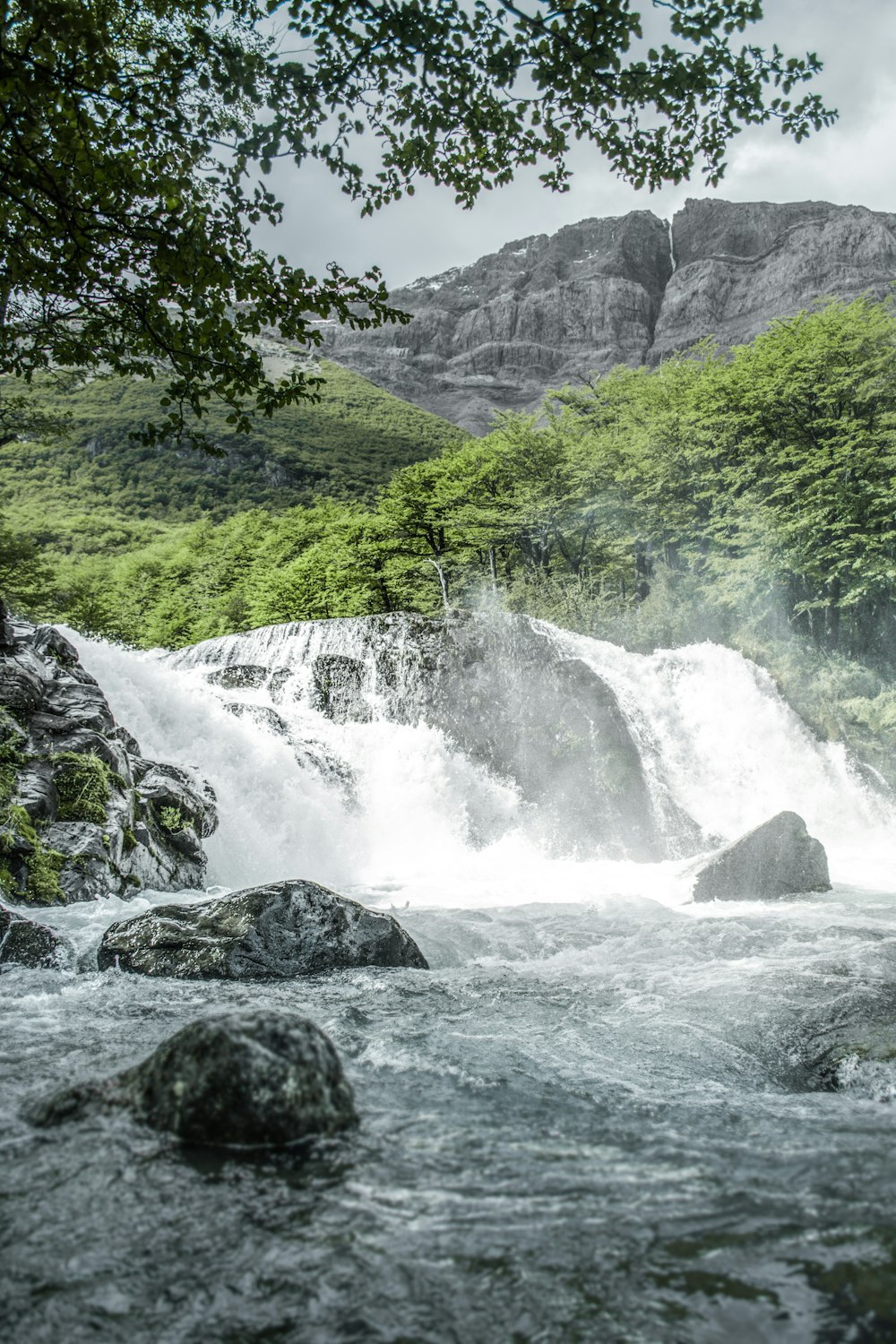 a waterfall in the middle of a forest