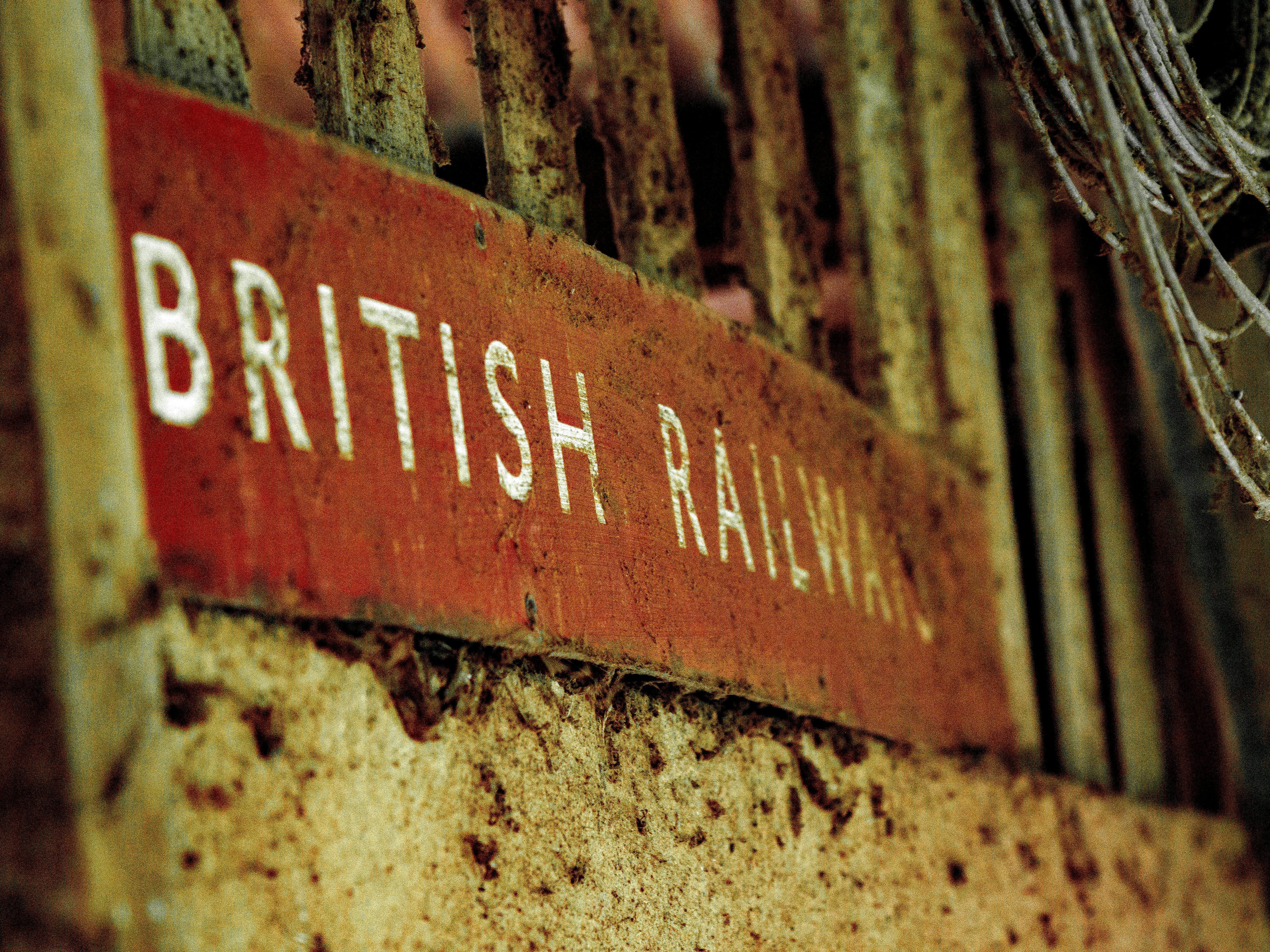 US Detains British Commentator Over Pro-Palestinian Views