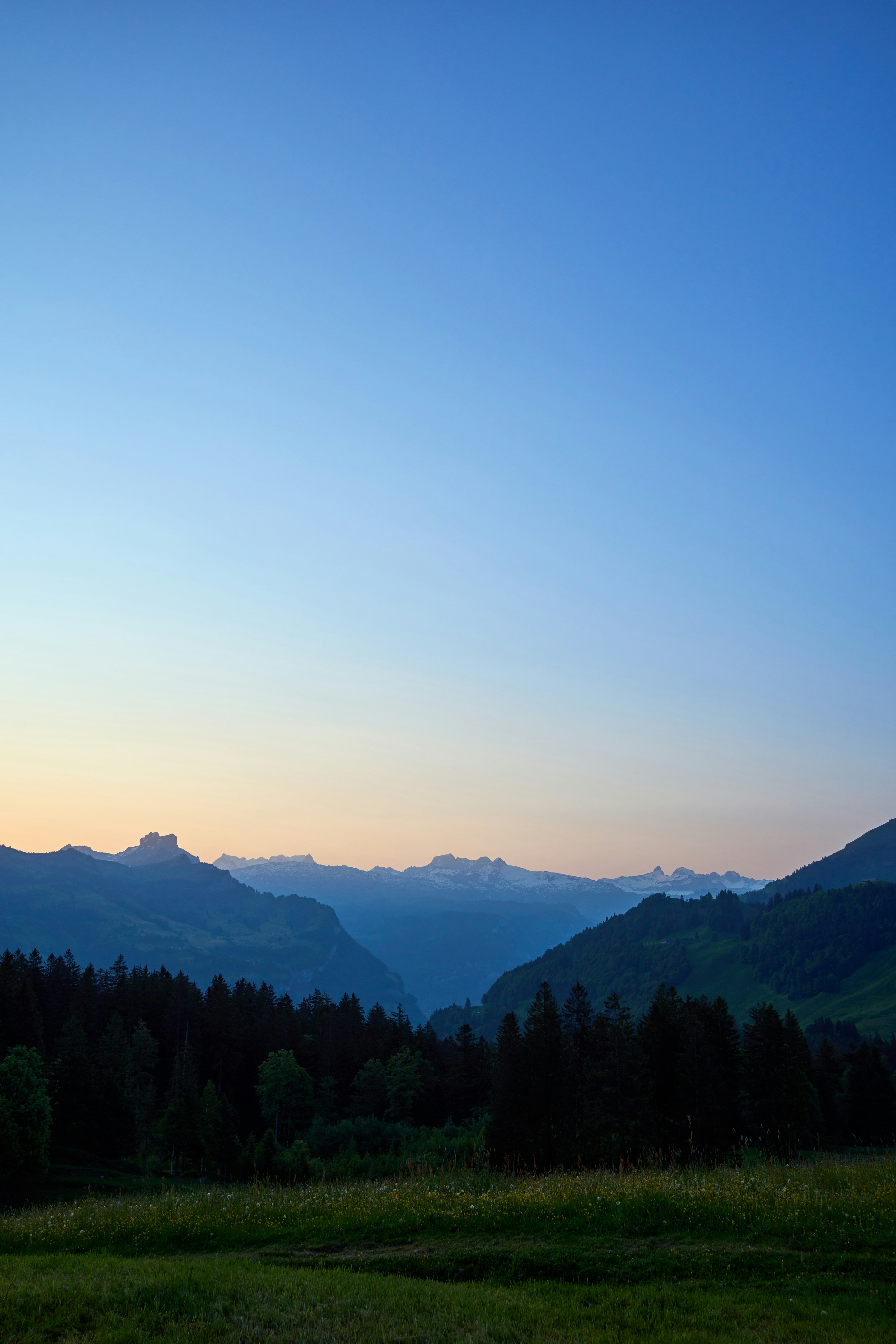 Photo by wolfgang_hasselmann