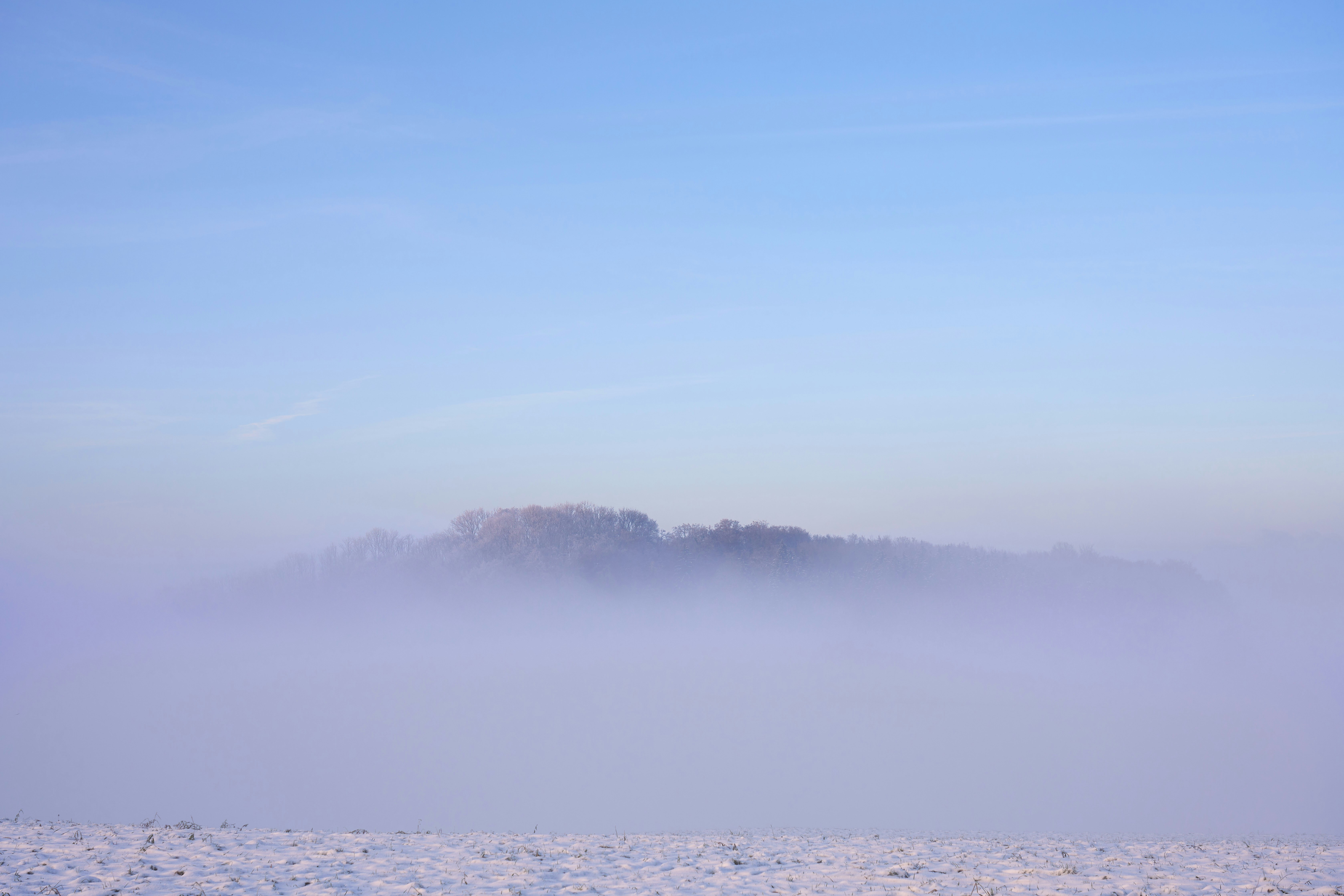 Photo by wolfgang_hasselmann