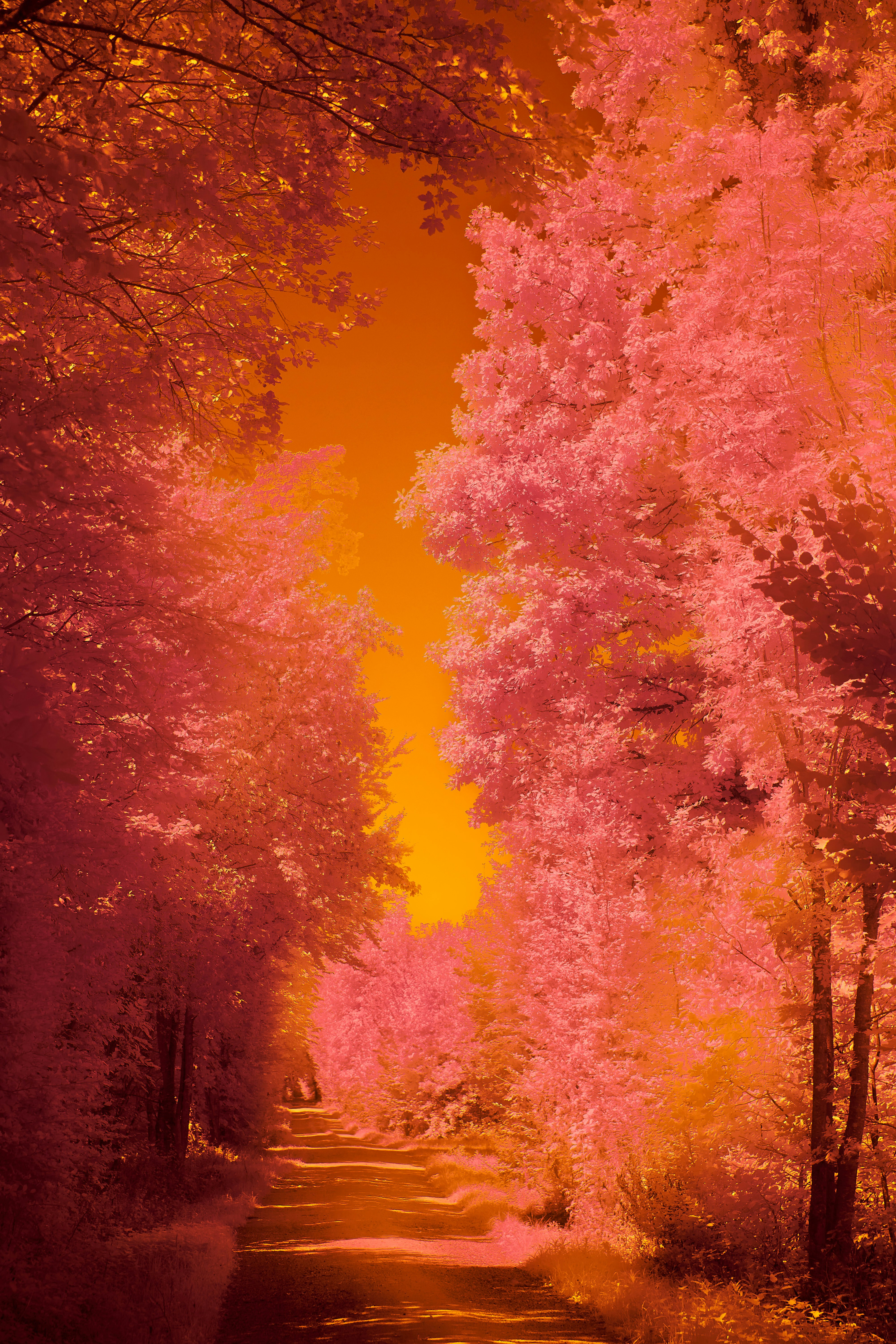 Photo by wolfgang_hasselmann