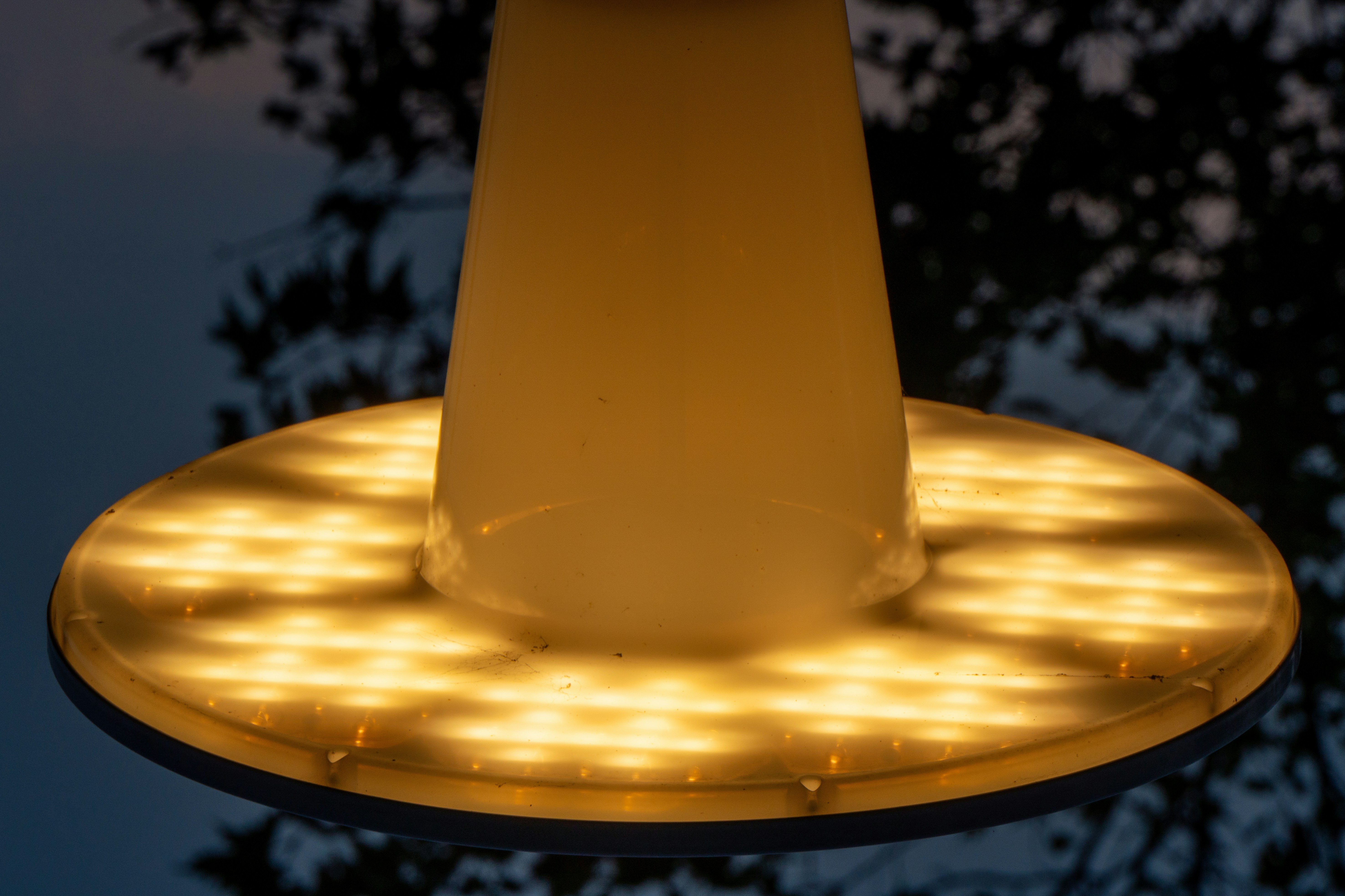 A close up of a street light with a tree in the background photo – Free ...