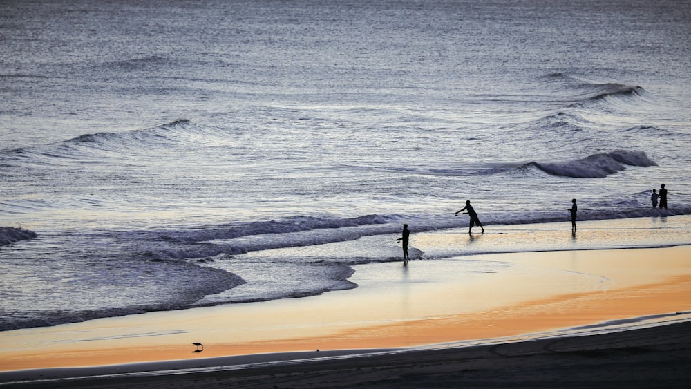 a group of people standing on top of a beach next to the ocean