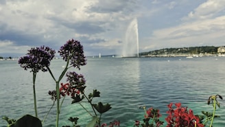 a view of a body of water with a fountain in the background