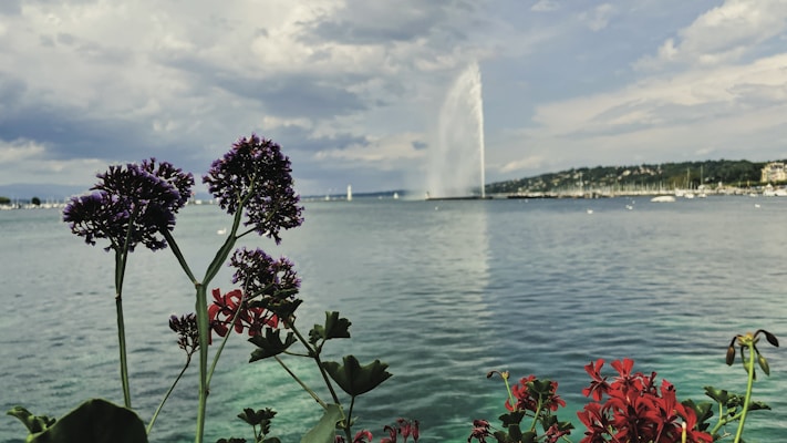 a view of a body of water with a fountain in the background