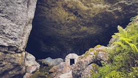 A rocky cave entrance with large surrounding boulders and moss-covered stones. On the right, vibrant green ferns and foliage add a touch of nature. The cave itself is dark and mysterious, with a small rectangular stone structure at its entrance.