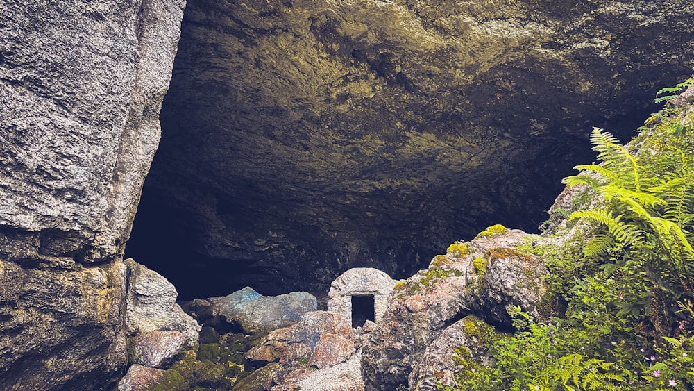 a cave with a small door in the middle of it