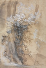 Close-up of hand-drawn botanical sketches framed by warm, textured antique paper with charcoal accents.