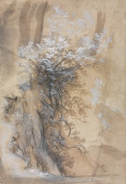 An elegant storyboard sketch with gentle rose and sand gradient backgrounds, illustrating a brand narrative in progress.