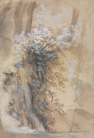 Exploring the Works of Bluemente: A Look into Her Literary Journey