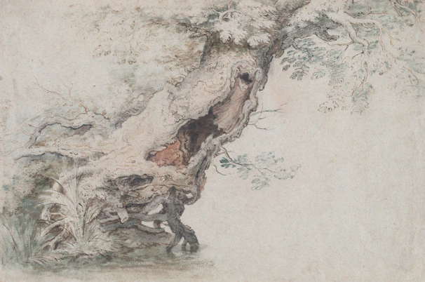 A richly detailed sketch of a towering ancient oak tree, its branches sprawling like the arms of a guardian over a misty forest.
