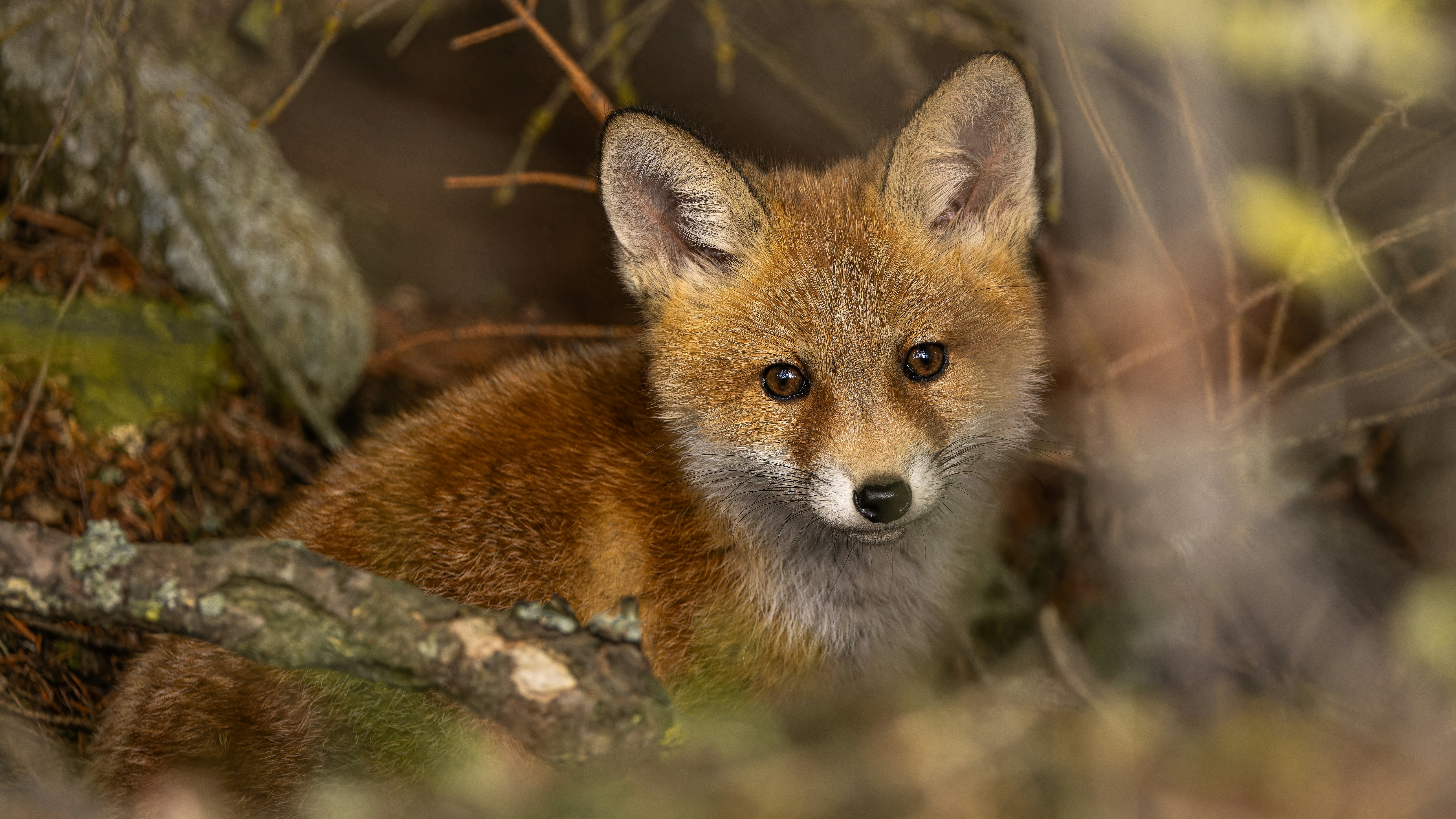 Photo by mumaints_89