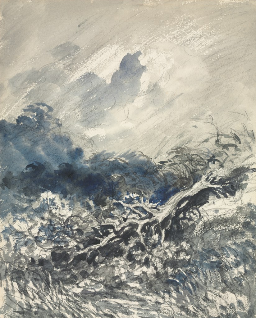 Ocean Whisper