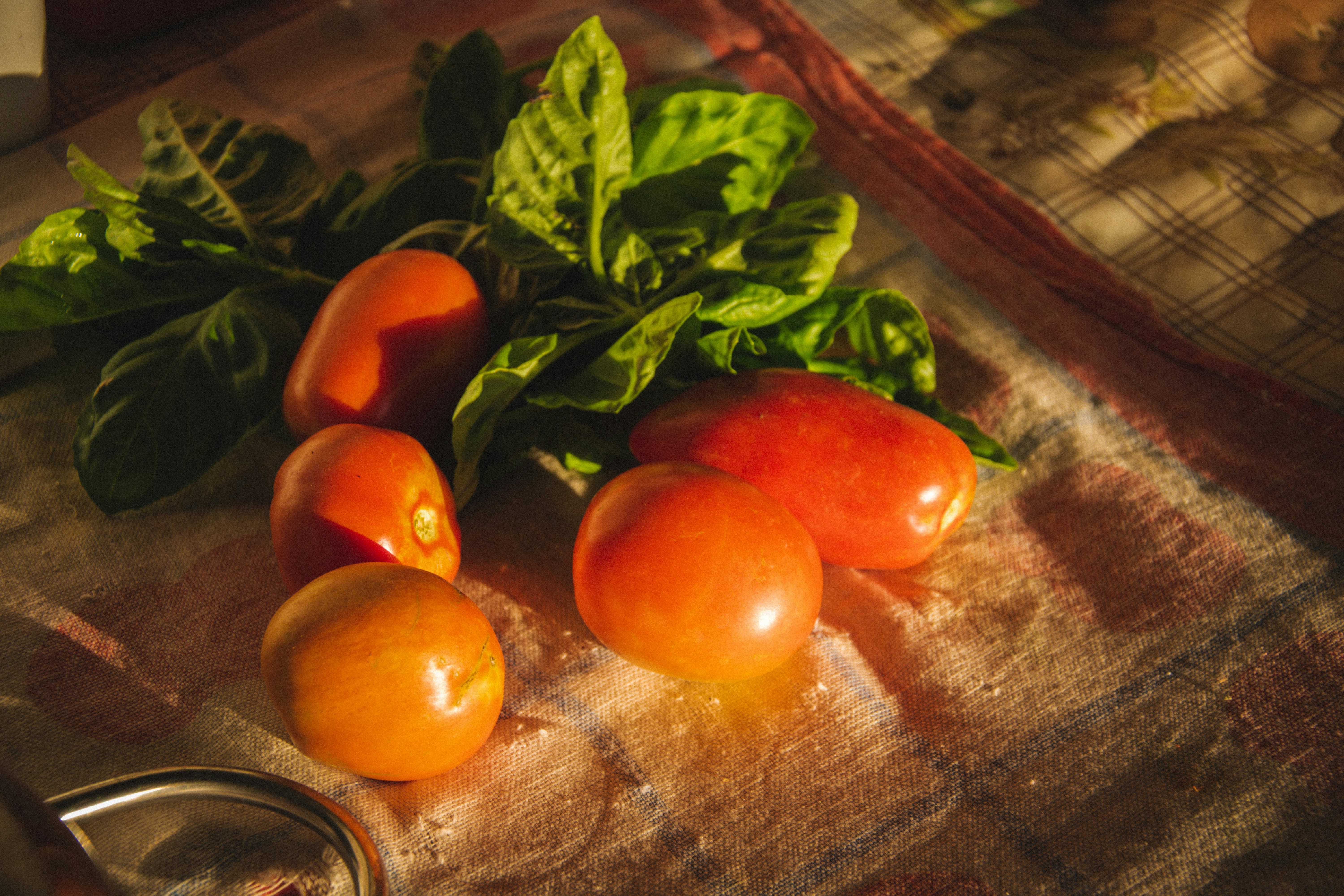 Heirloom tomatoes in deep red and gold scattered on a linen cloth with fresh basil