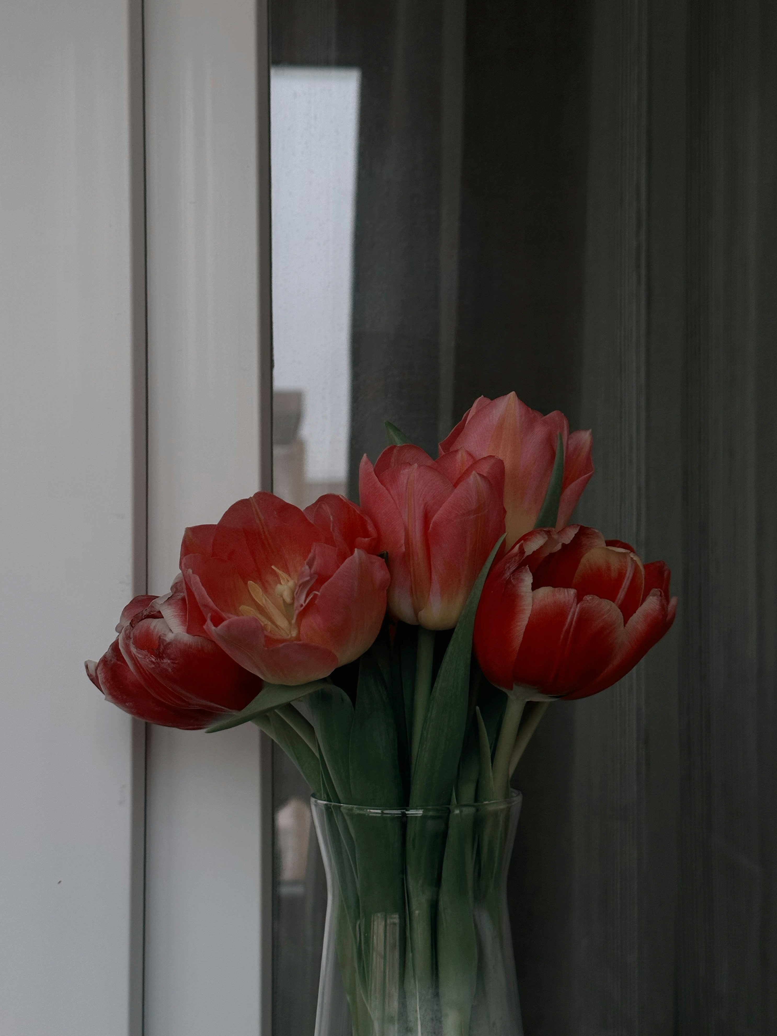 Photo by alexandraleru