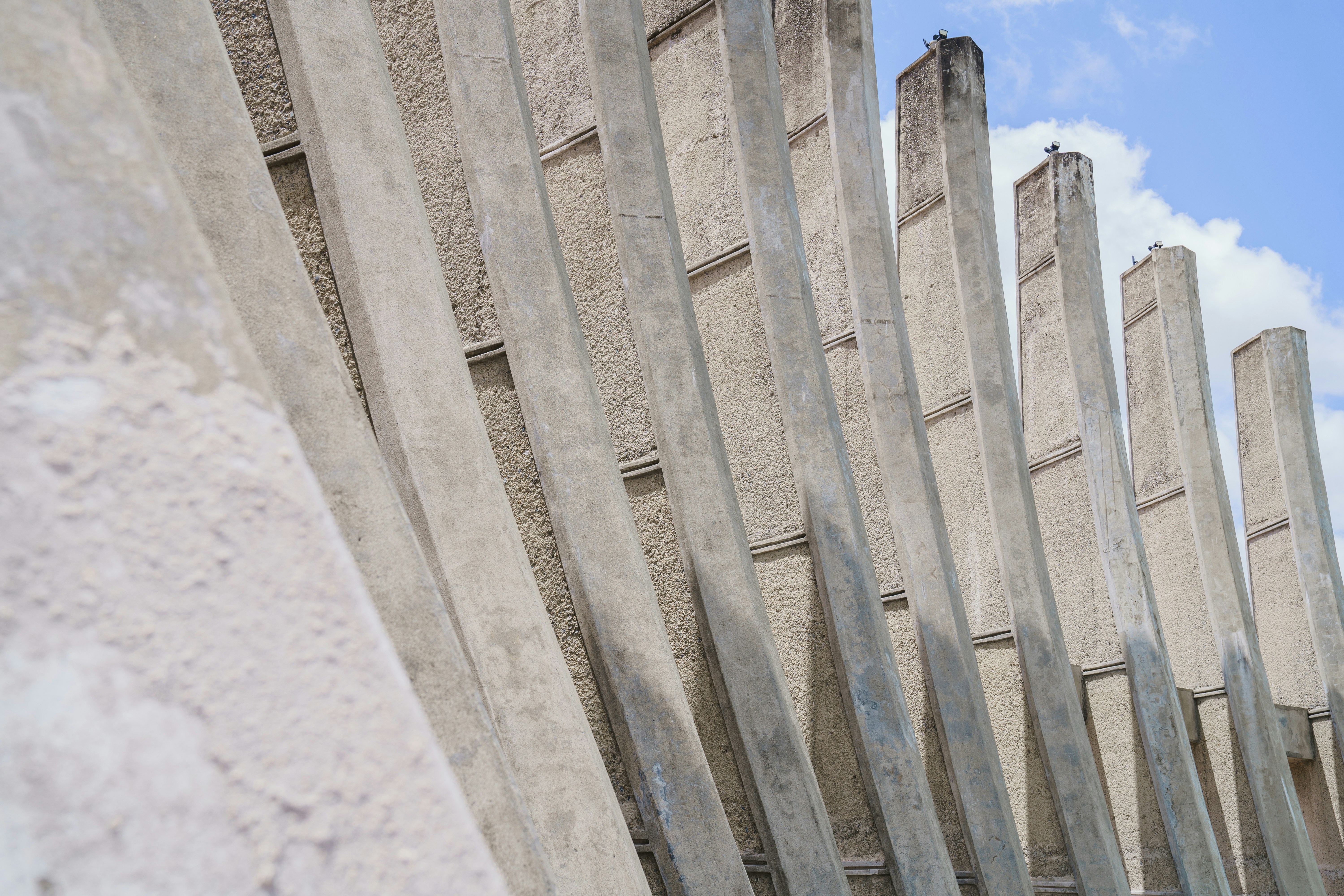 Photo by aldwardcv31