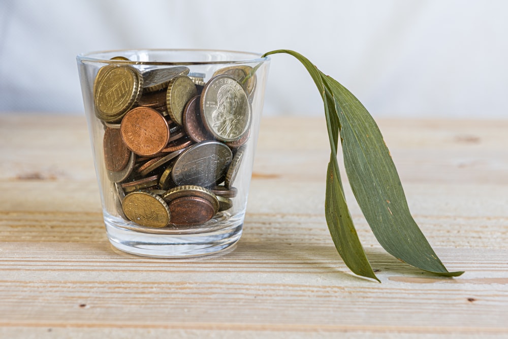 a glass filled with coins next to a green leaf