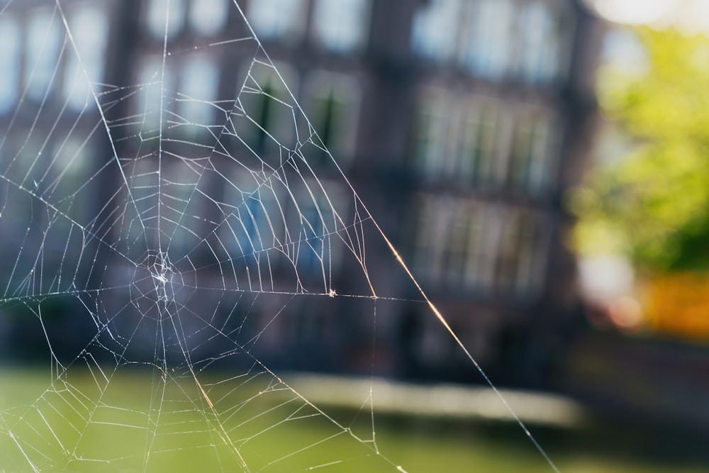 a spider web with a building in the background