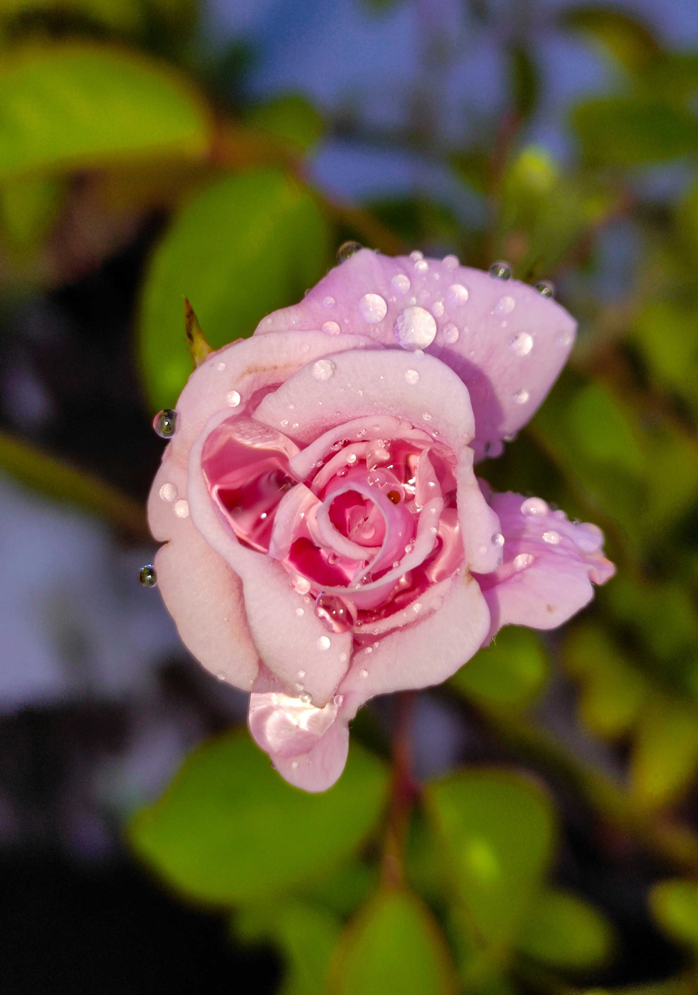 Photo by macrosam