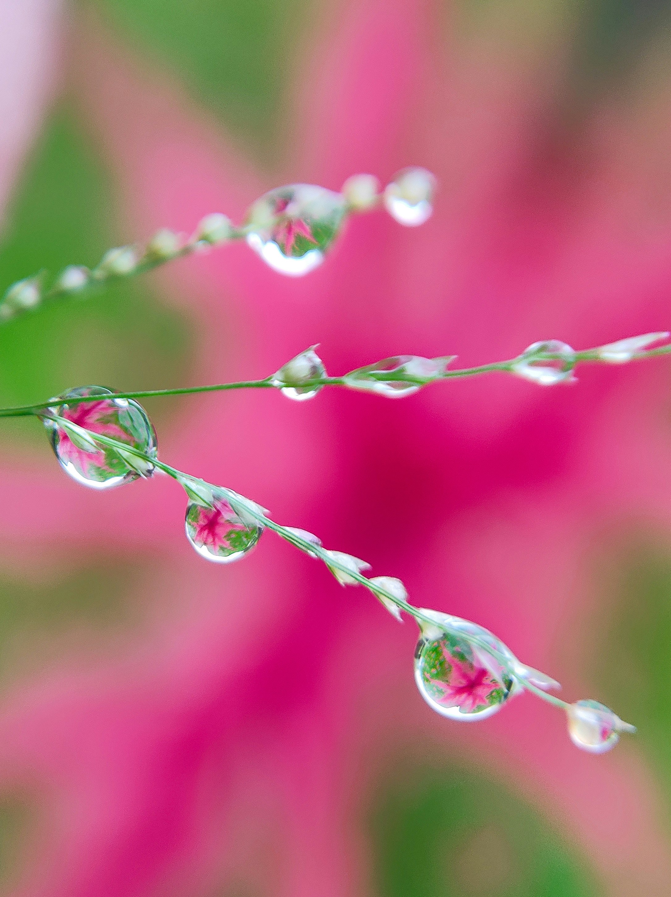 Photo by macrosam