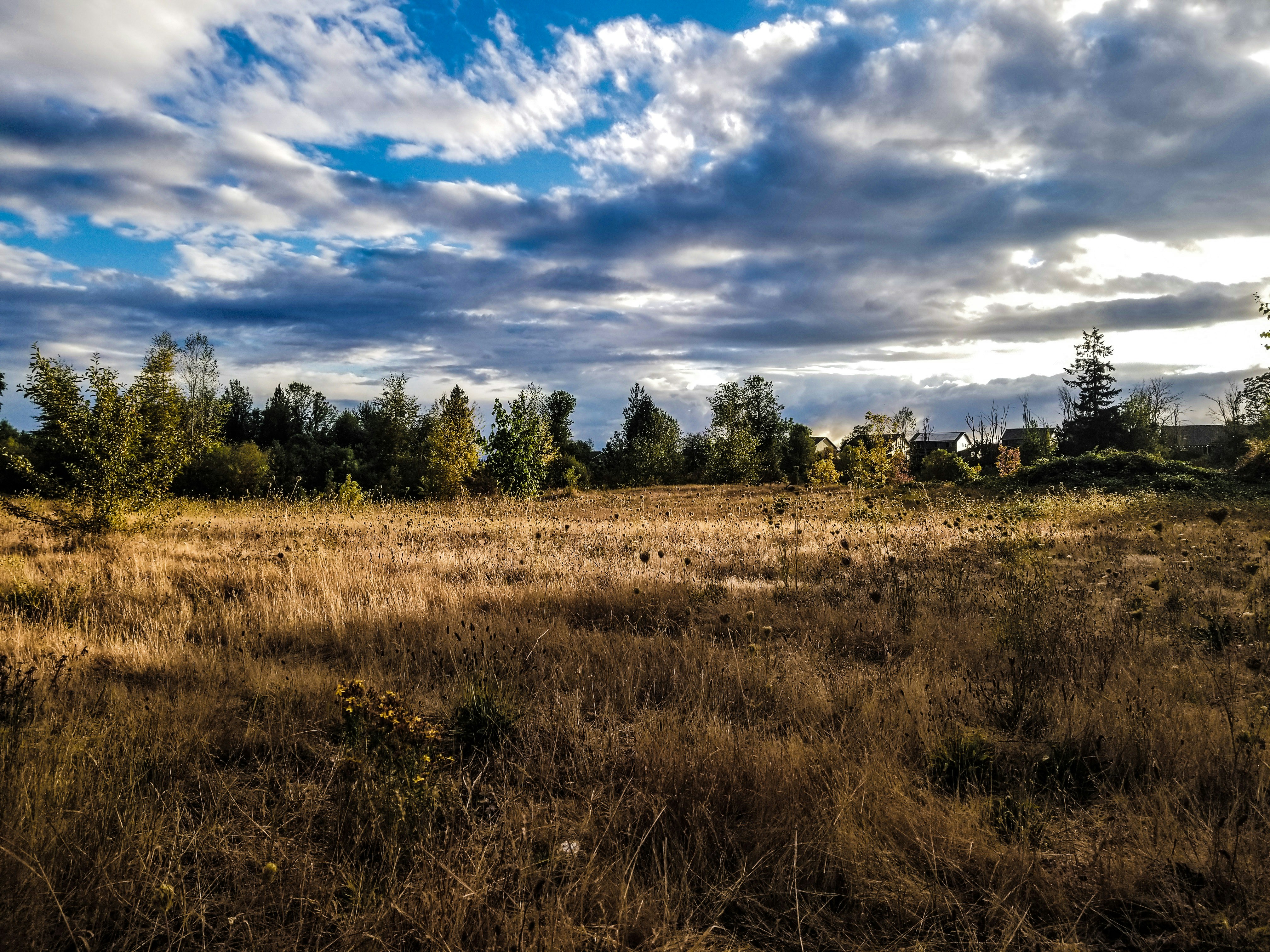 Photo by prphotography262