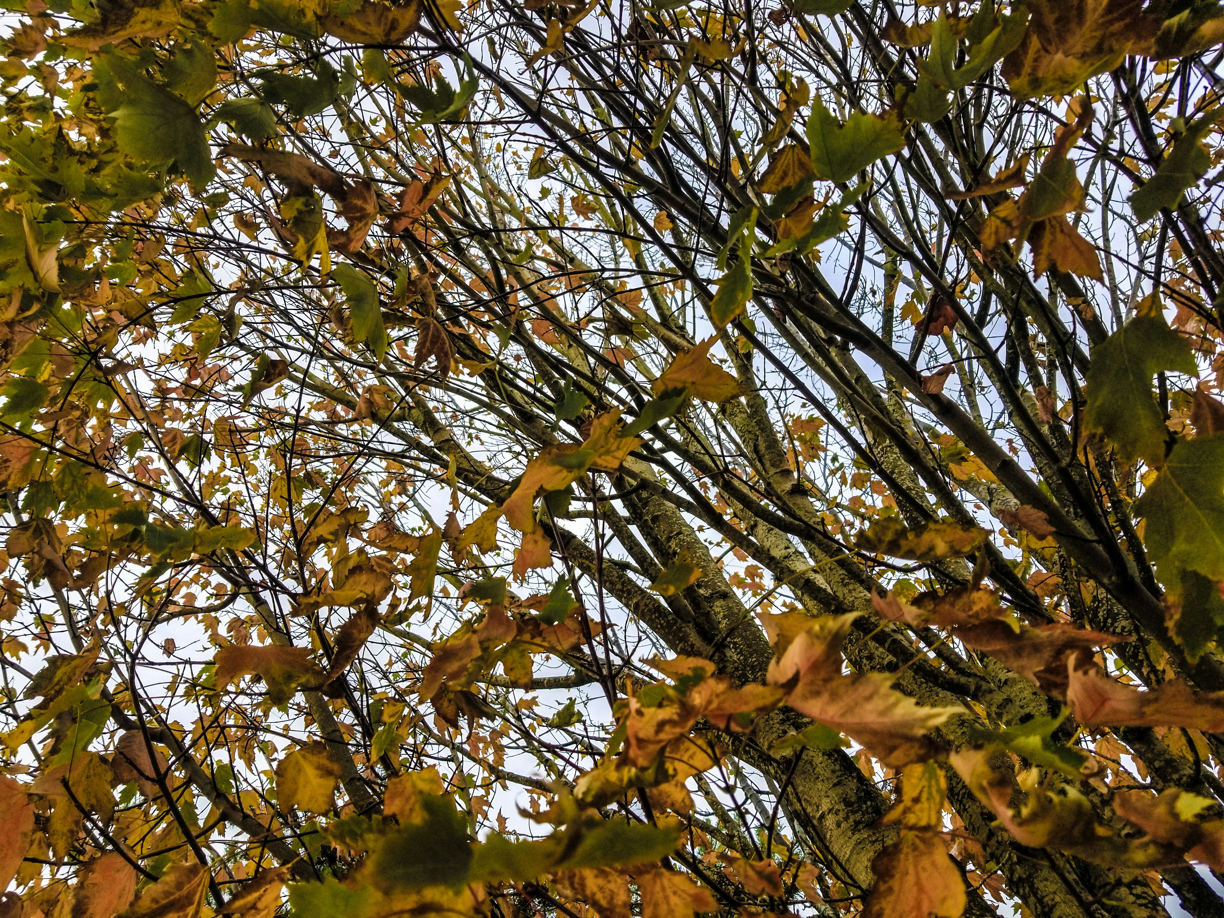 Photo by prphotography262