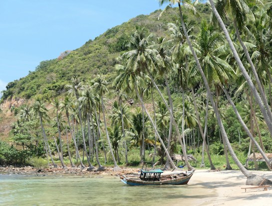 A serene tropical beach with tall palm trees leaning over sandy shores. A small wooden boat rests on the clear, shallow water. The background features a lush, green hillside under a bright blue sky.