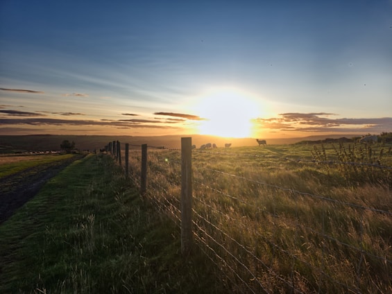 A picturesque sunset over the 175-acre ranch, showcasing cattle and goats.