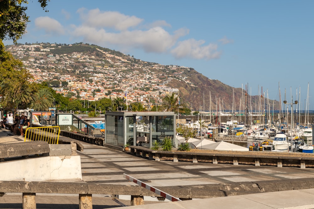 a boat dock with a mountain in the background