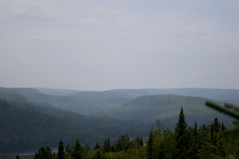 a view of a mountain range with trees in the foreground