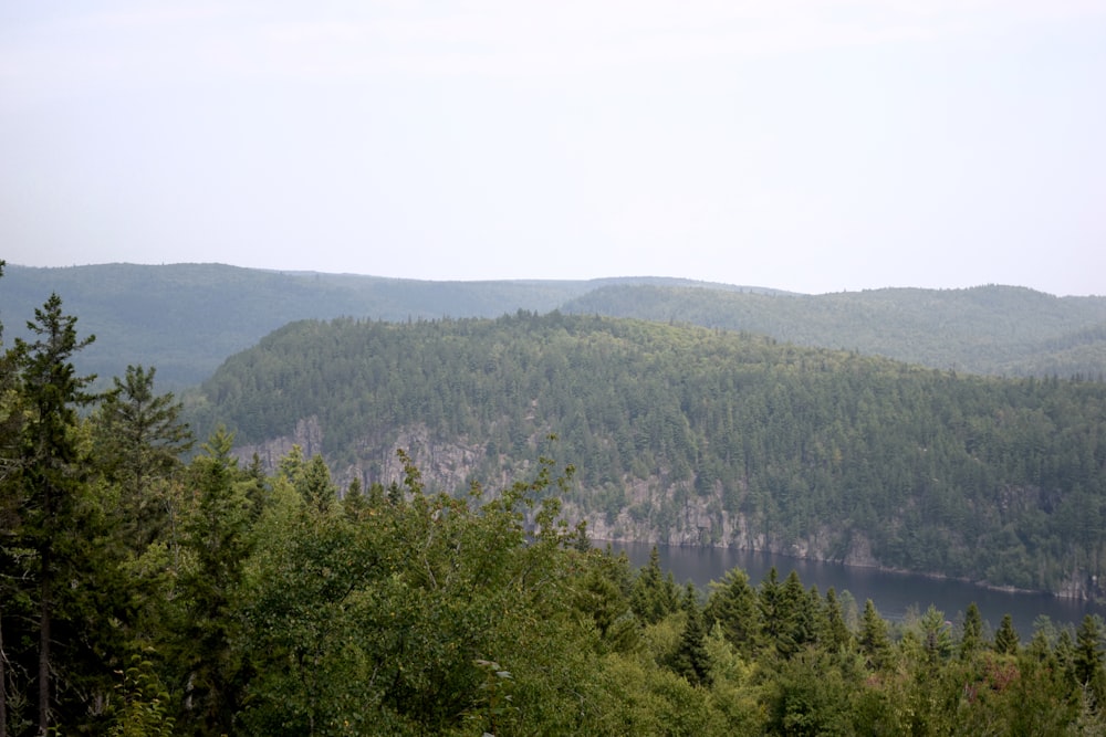 a view of a lake in the middle of a forest