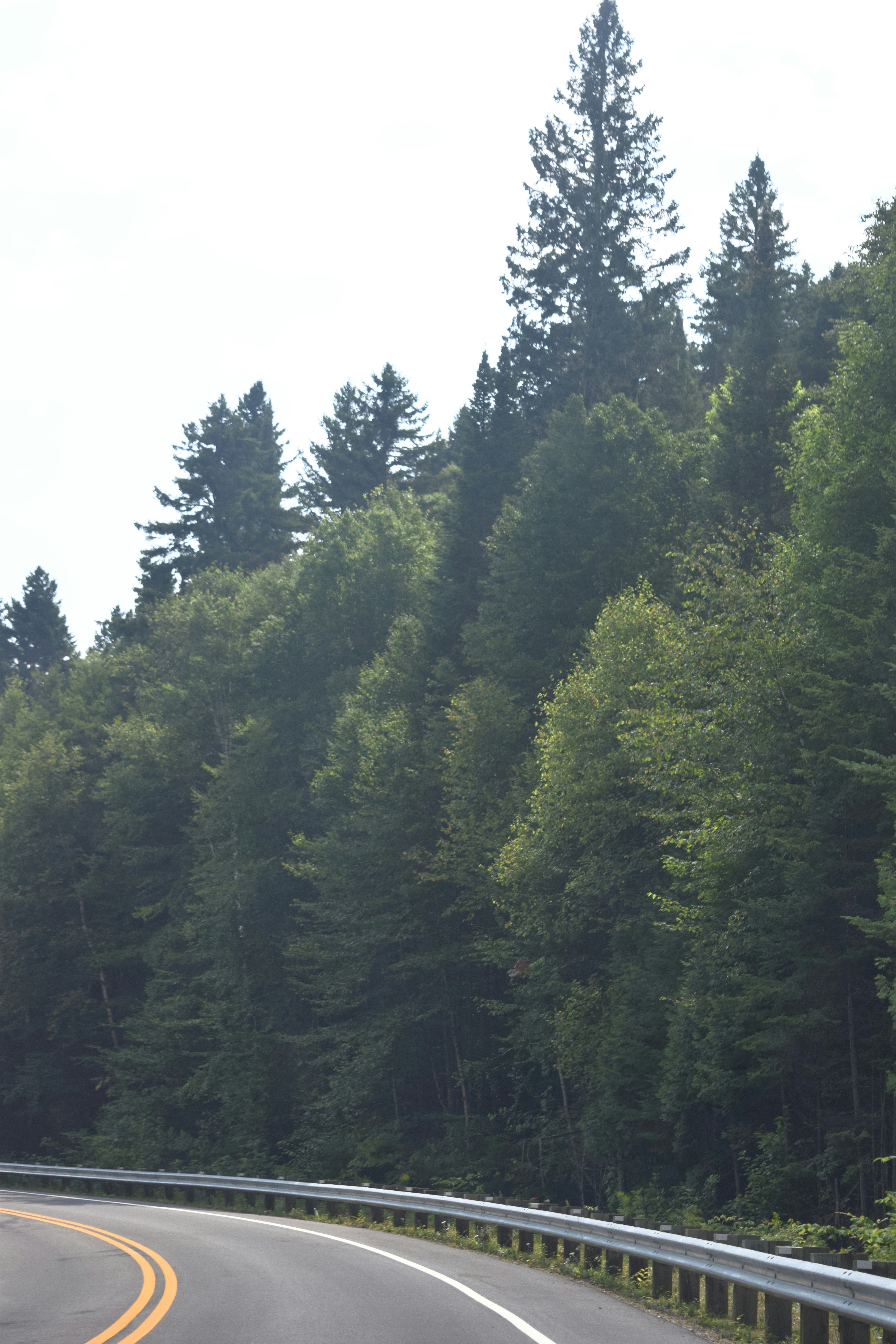 Photo by quillofspirit