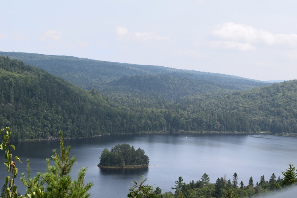 ein großes Gewässer, umgeben von Wald