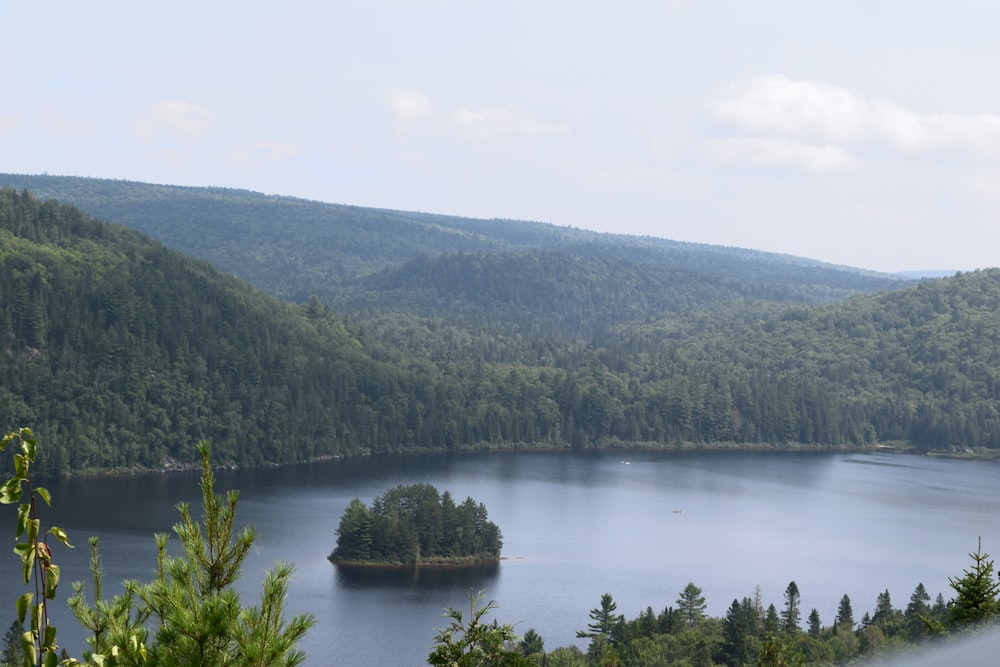 a large body of water surrounded by forest