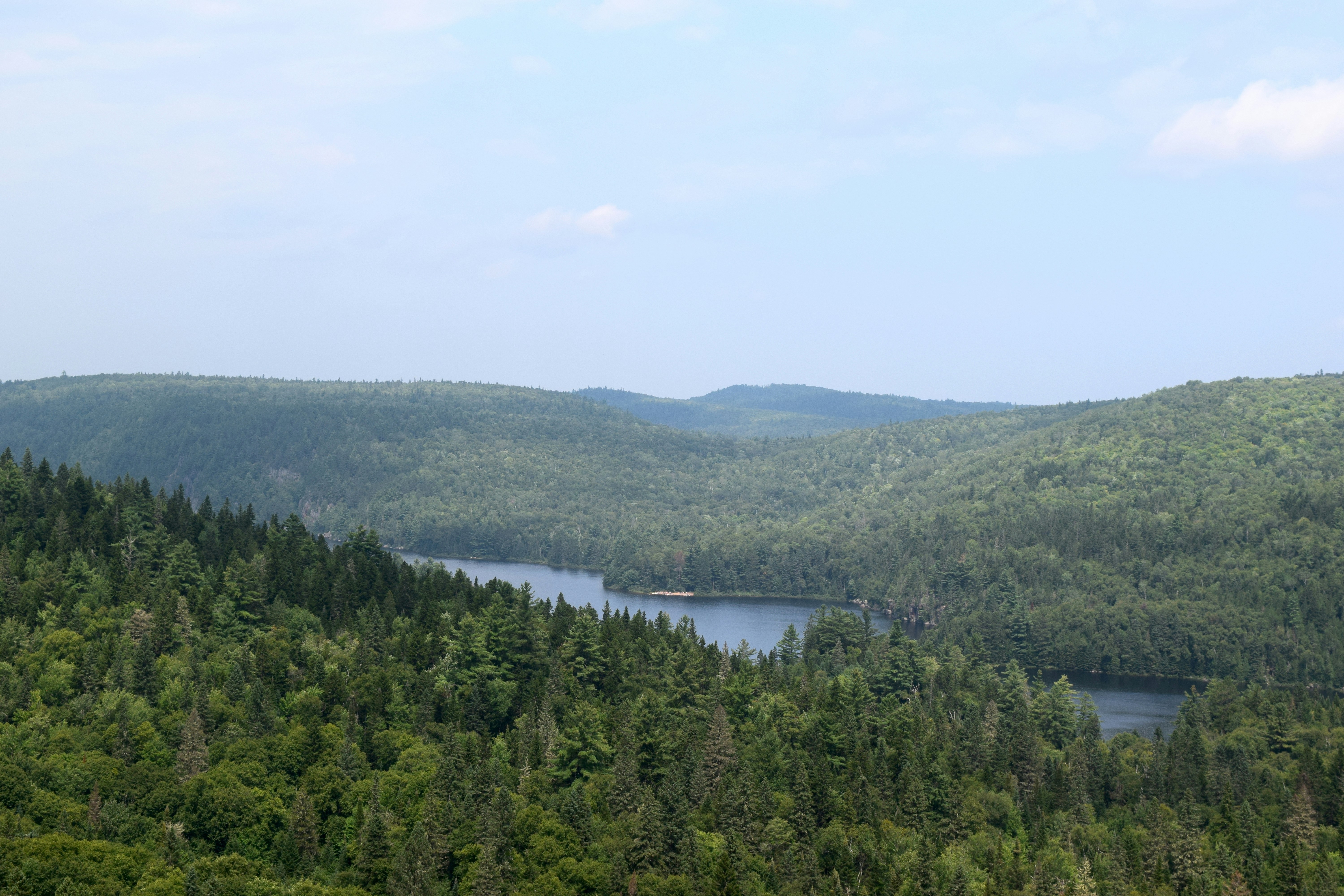 Photo by quillofspirit