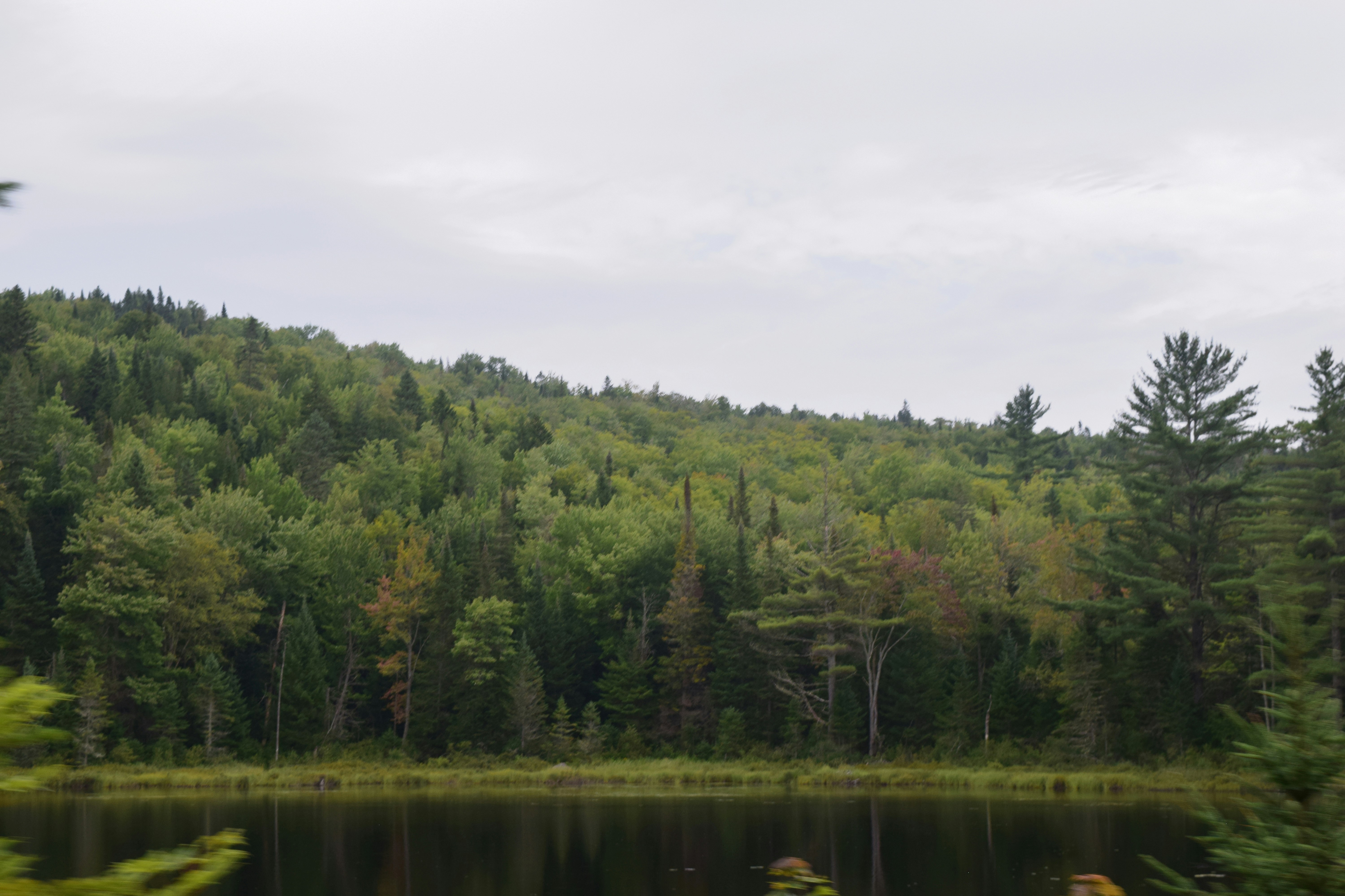 Photo by quillofspirit