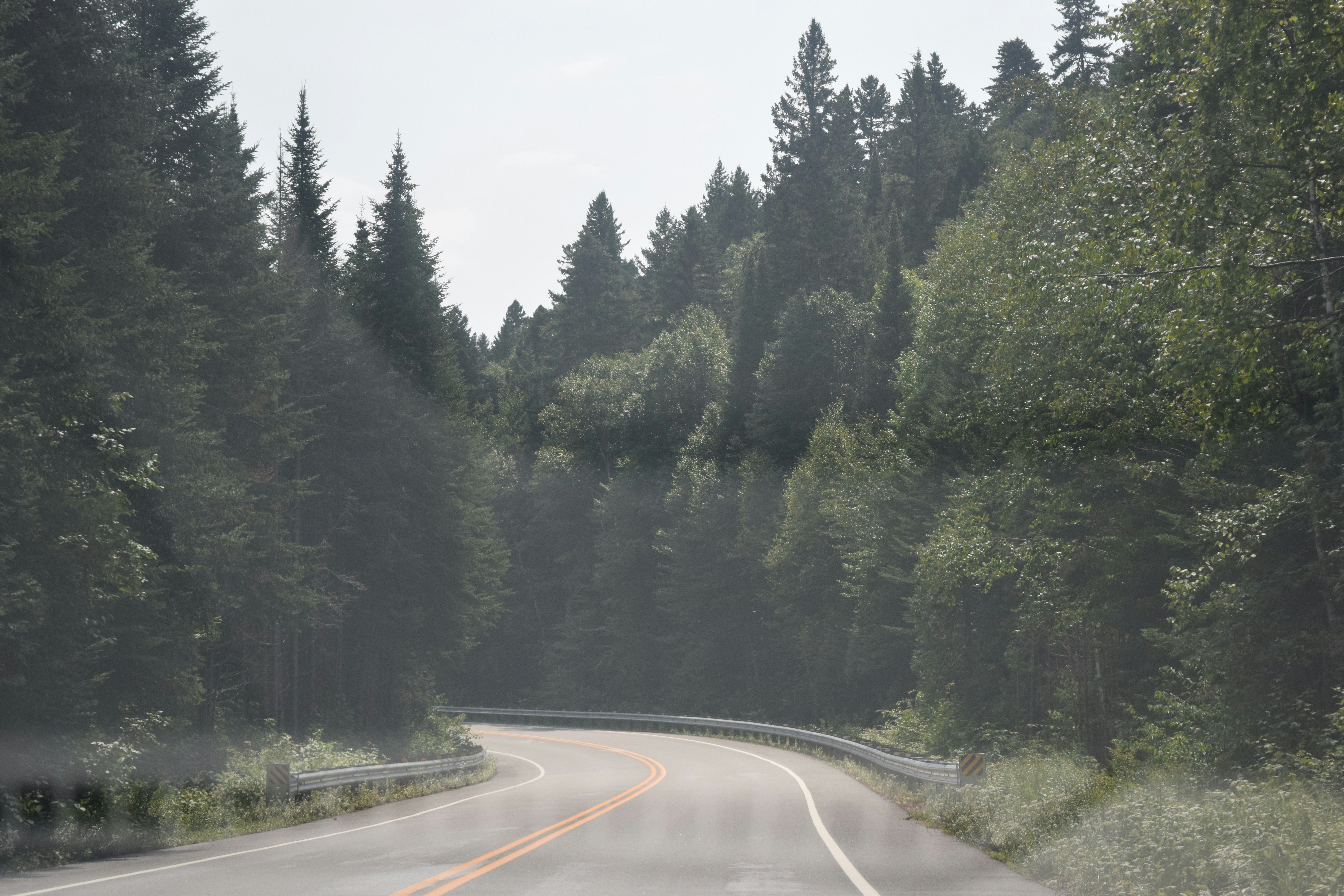 Photo by quillofspirit