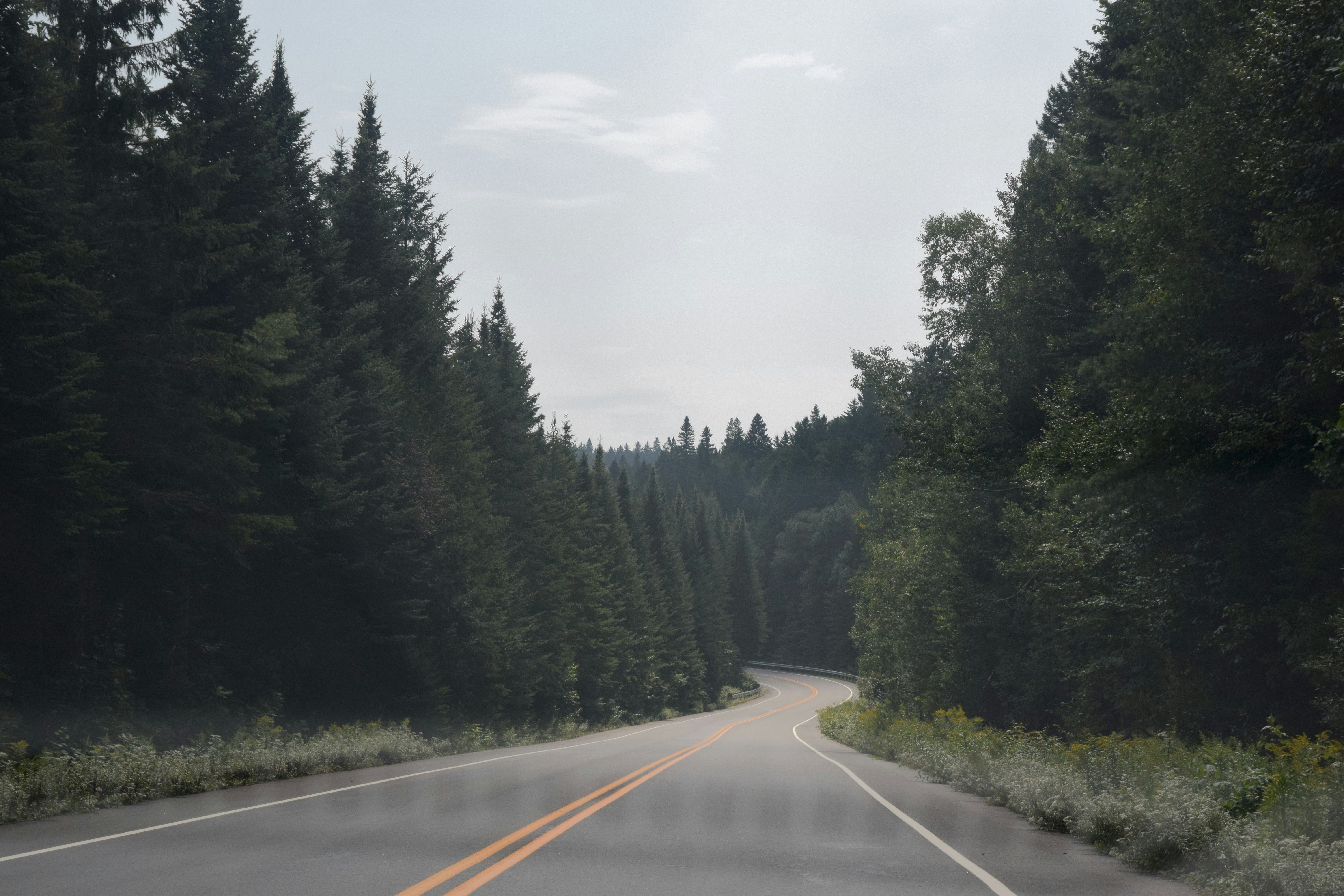 Photo by quillofspirit