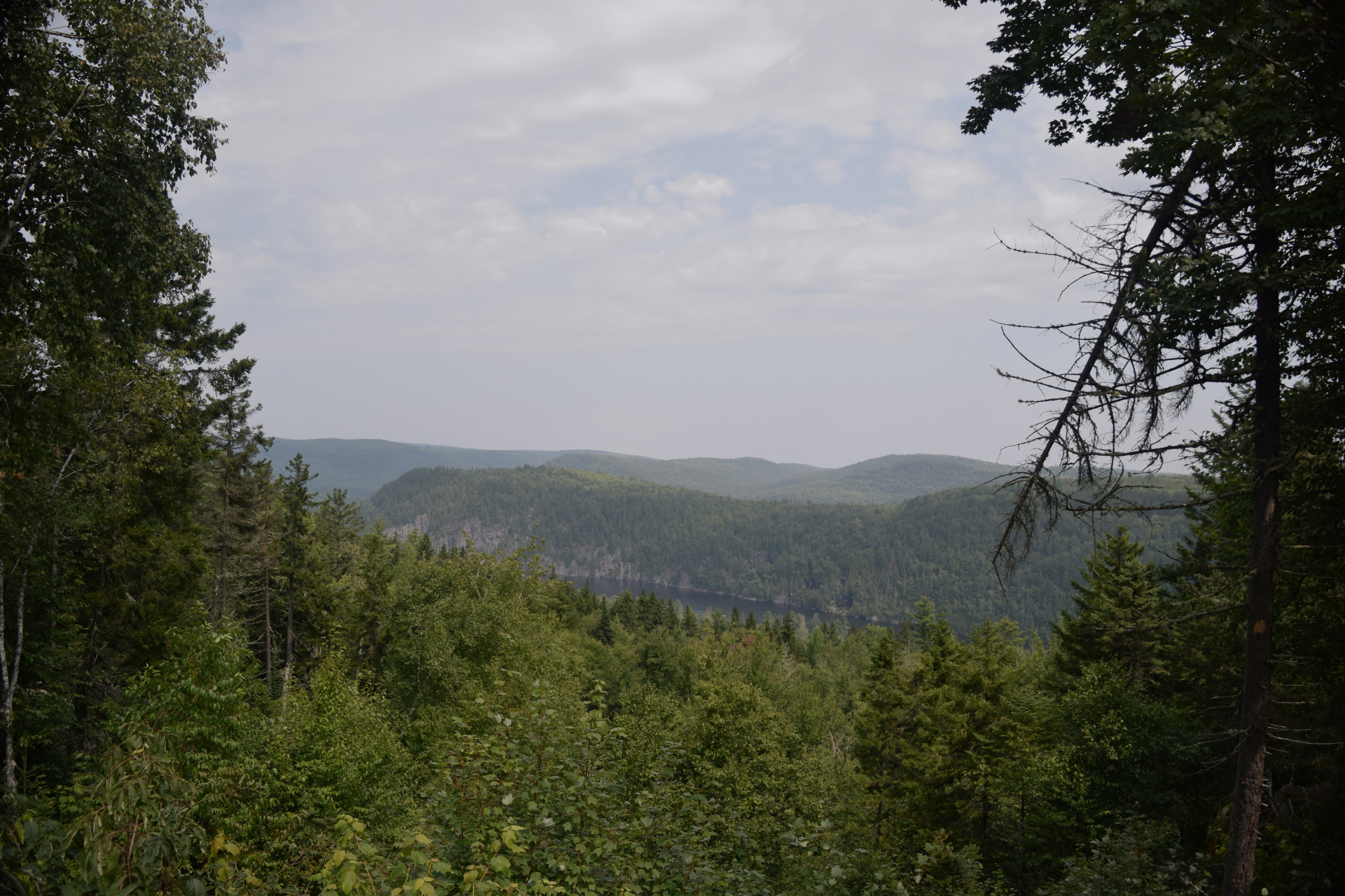 Photo by quillofspirit