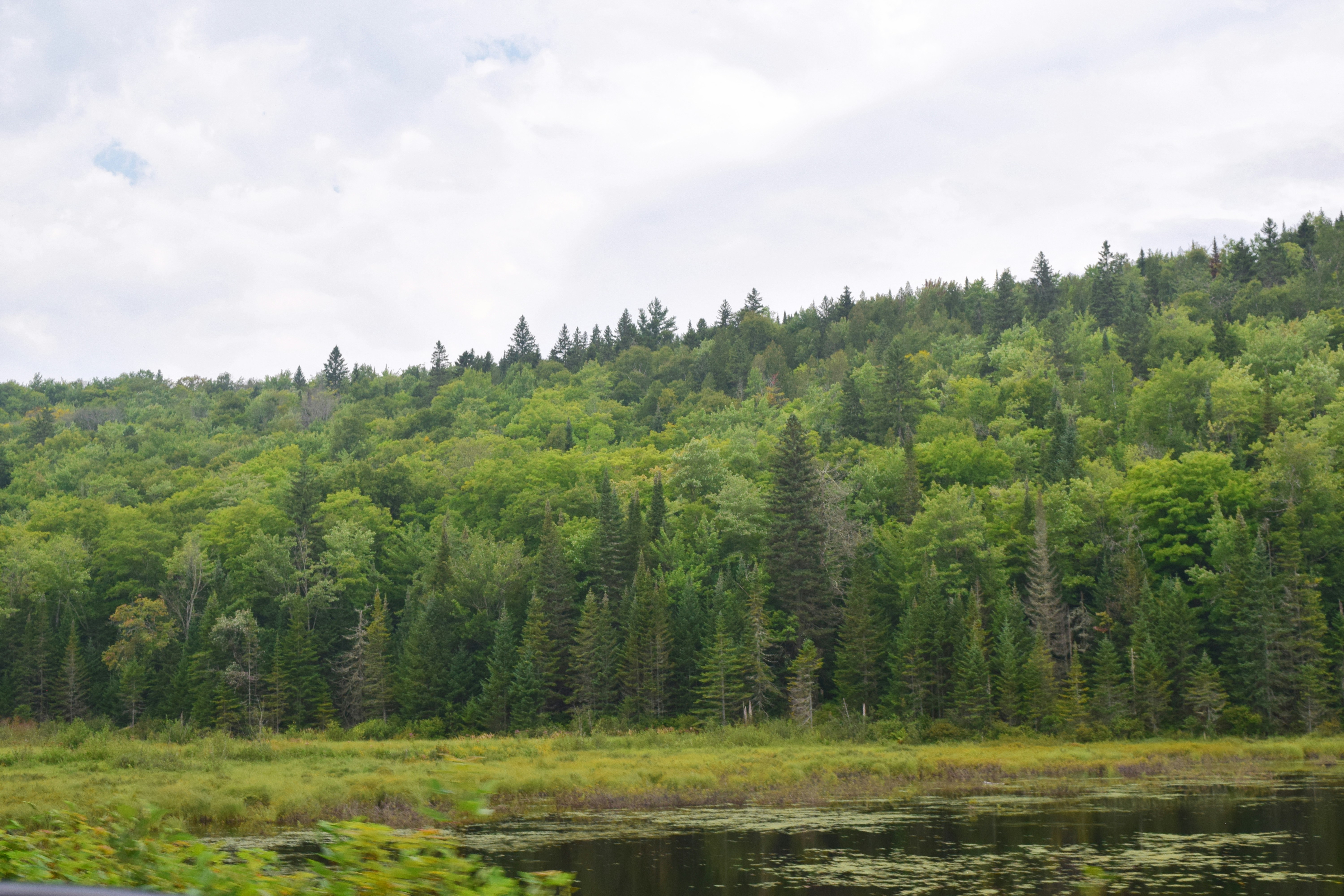 Photo by quillofspirit