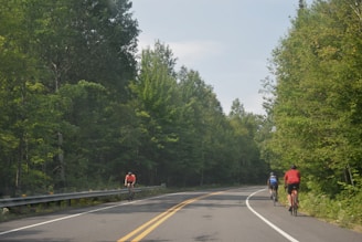 Cyclists ride along a winding road bordered by lush green trees. The well-paved road features yellow dividing lines, and the atmosphere suggests a peaceful and leisurely outdoor activity.