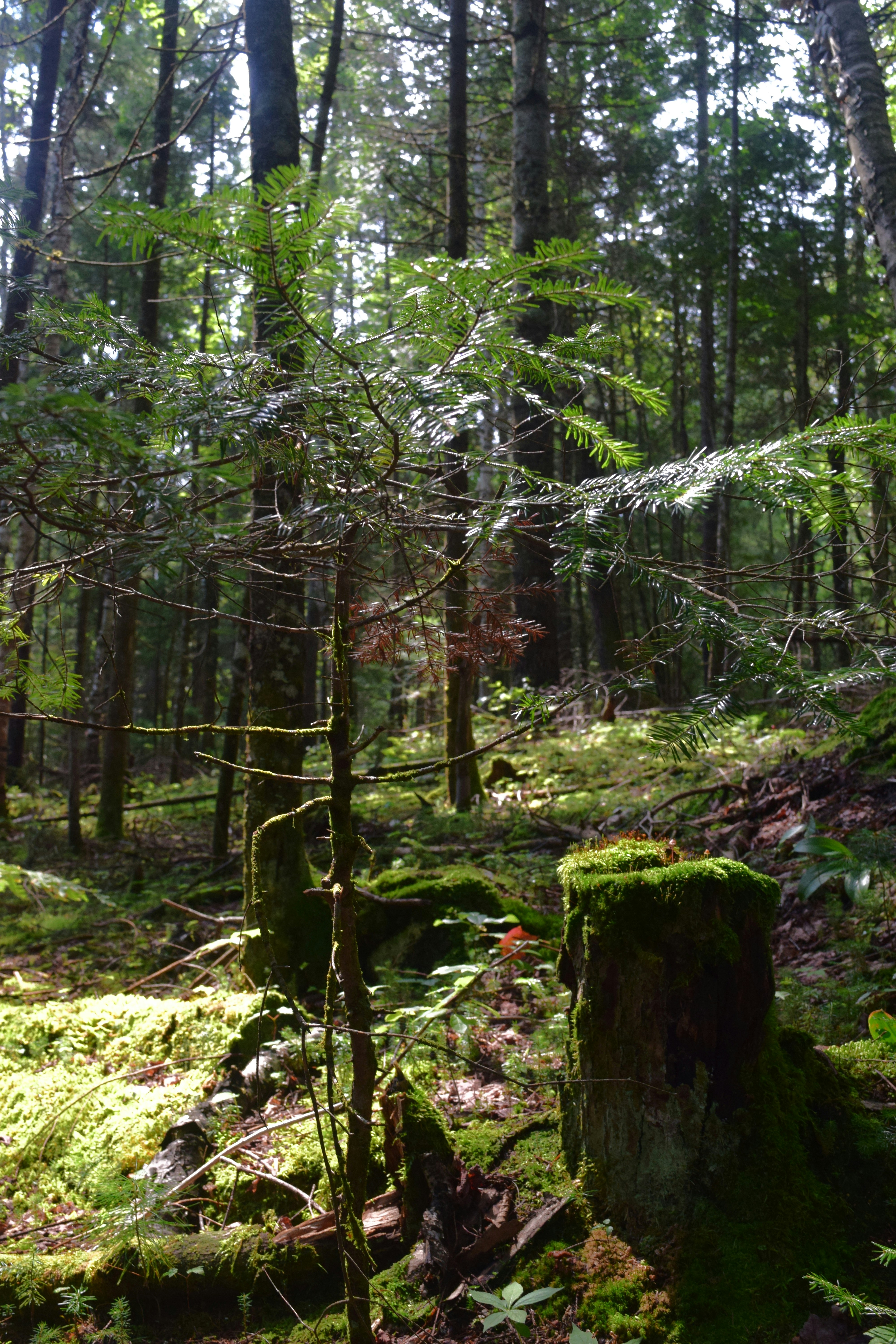 Photo by quillofspirit