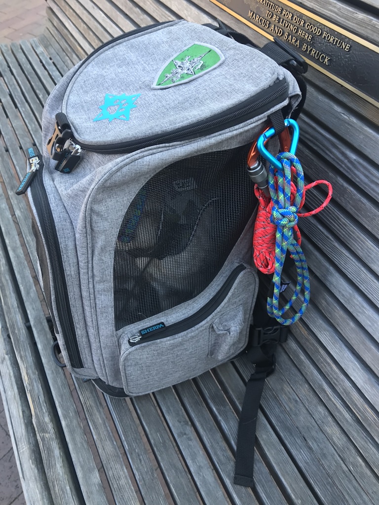 Urban Backpack