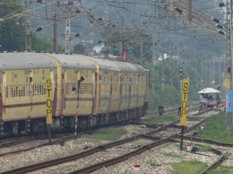 A train with yellow and brown coaches is moving along railway tracks beneath a network of overhead wires. Passengers can be seen leaning out of the windows. To the right of the tracks, there are multiple yellow signs with 'STOP' written on them. In the distance, there is greenery and a small structure with a white roof, with a few people standing near it.