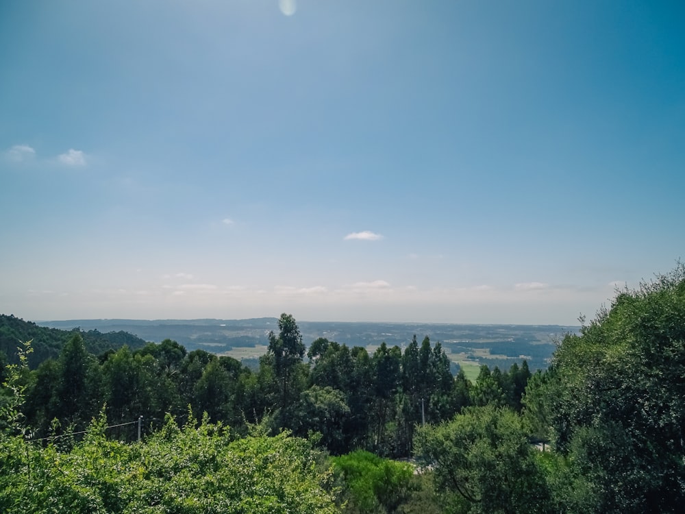 une vue panoramique de la campagne depuis une colline