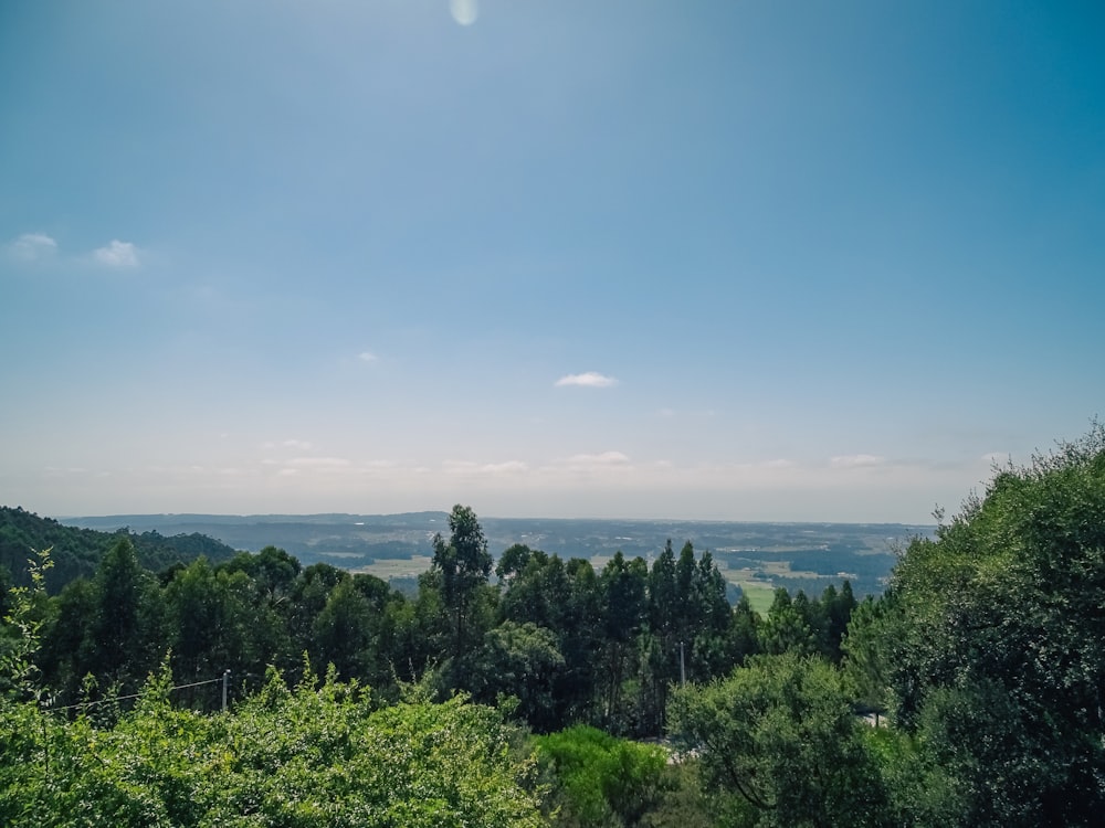 uma vista panorâmica do campo a partir de uma colina