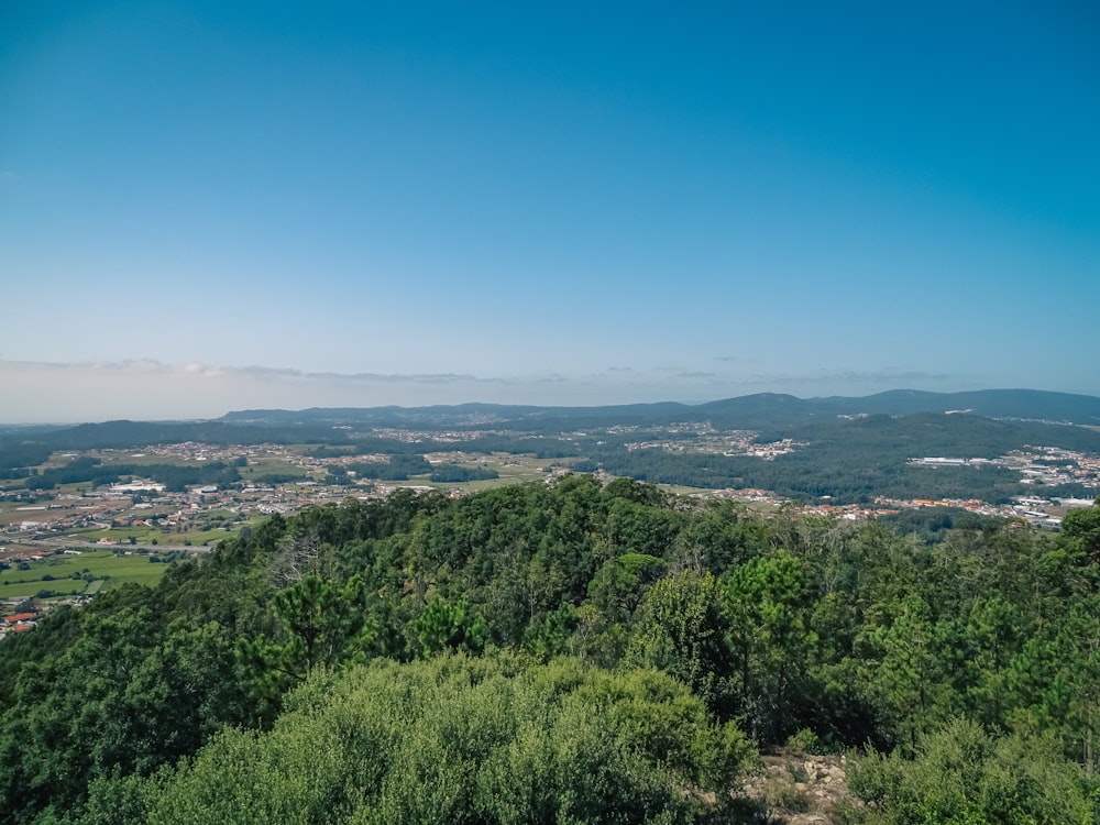 Una vista panoramica di una città da una collina