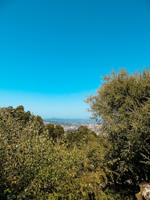 A beautiful landscape view surrounding our development.